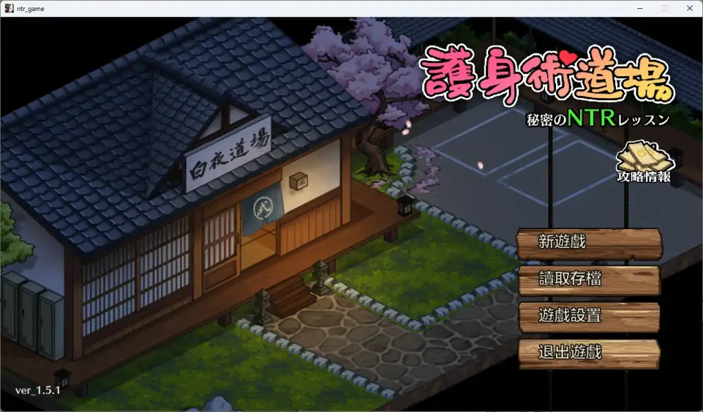 【爆款RPG/官方中文】护身术道场 ver1.9.3.01.03 中文新年版+DLC 葵DLC【PC电脑/1G/更新】